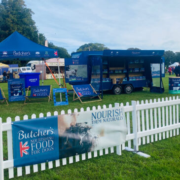 Dogfest